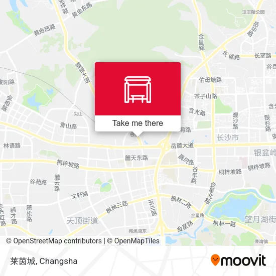 莱茵城 map