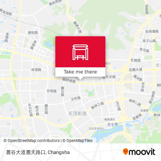 麓谷大道麓天路口 map