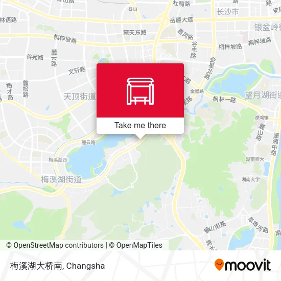 梅溪湖大桥南 map