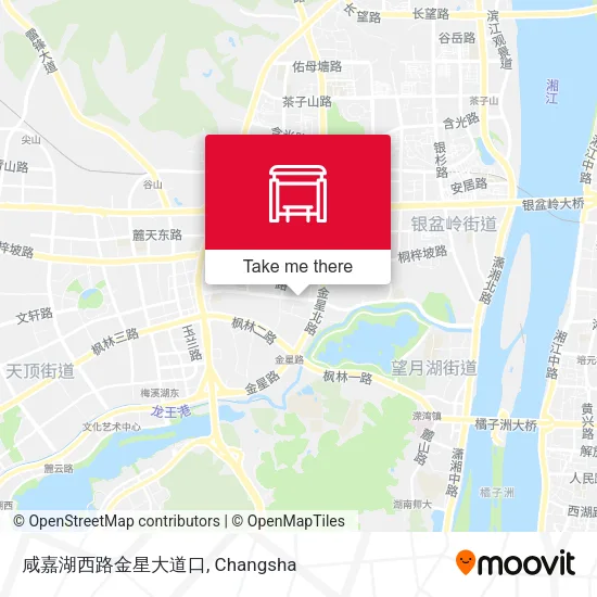 咸嘉湖西路金星大道口 map