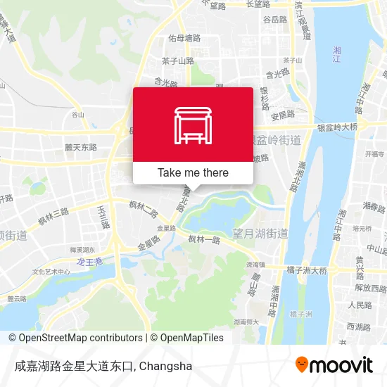 咸嘉湖路金星大道东口 map
