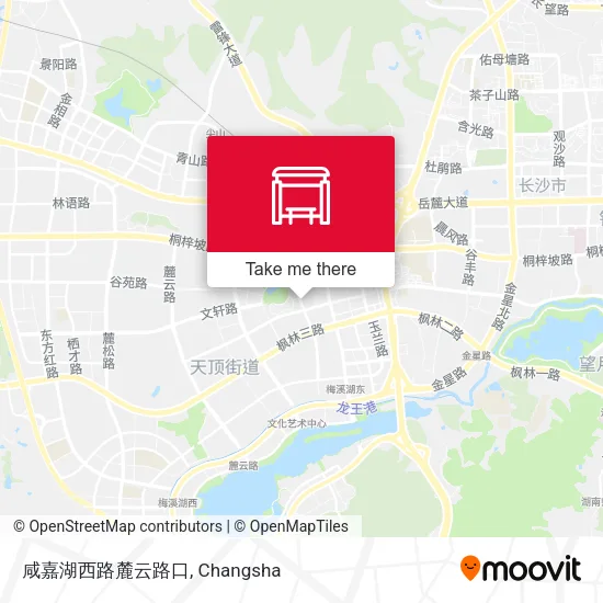 咸嘉湖西路麓云路口 map