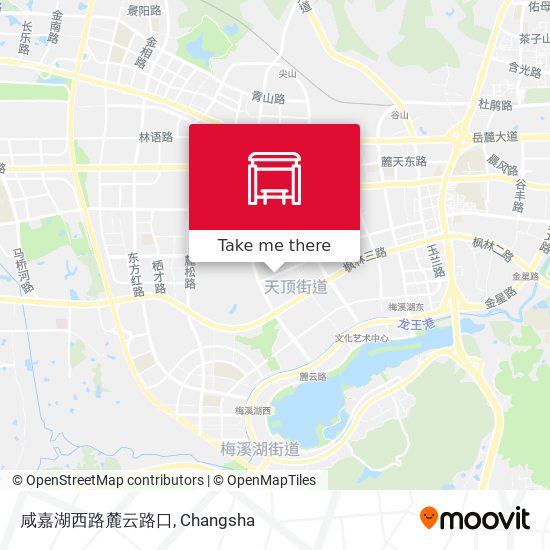 咸嘉湖西路麓云路口 map