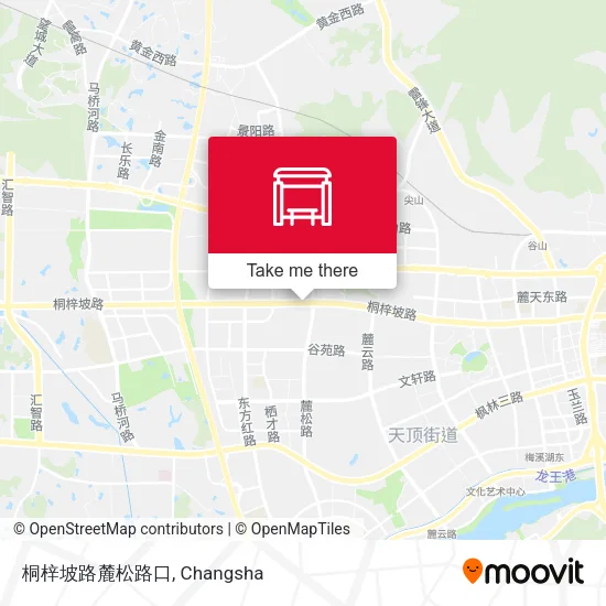 桐梓坡路麓松路口 map