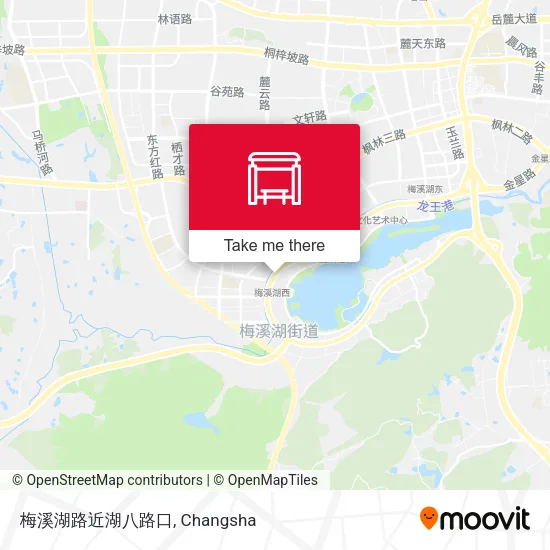 梅溪湖路近湖八路口 map