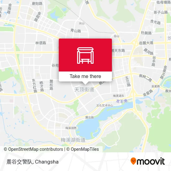 麓谷交警队 map