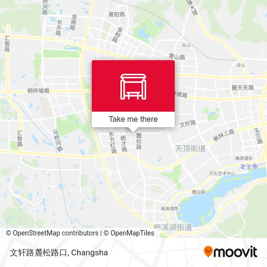 文轩路麓松路口 map