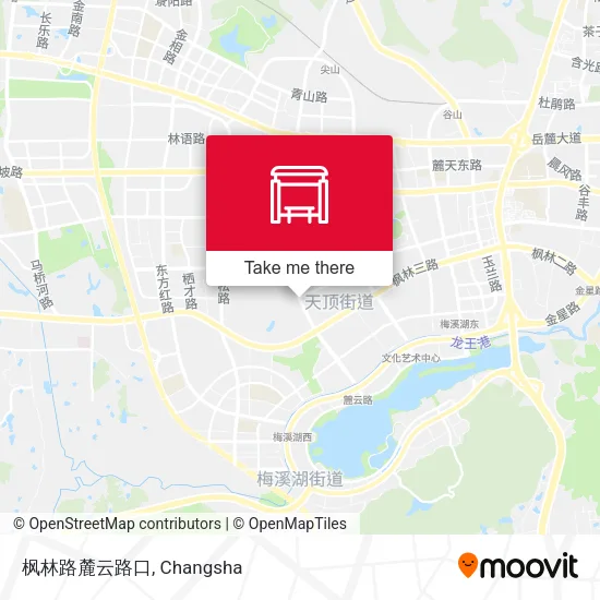 枫林路麓云路口 map