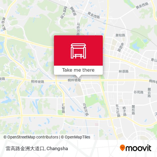 雷高路金洲大道口 map