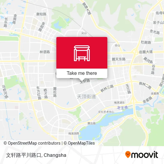 文轩路平川路口 map