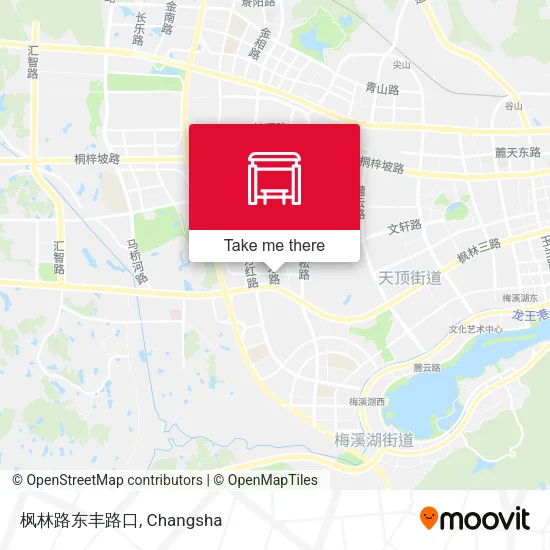 枫林路东丰路口 map
