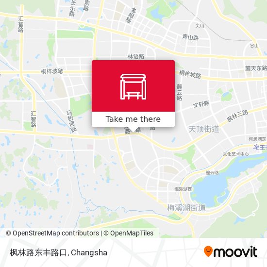 枫林路东丰路口 map