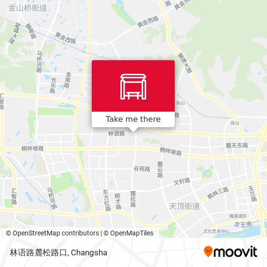 林语路麓松路口 map
