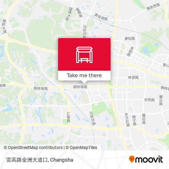 雷高路金洲大道口 map