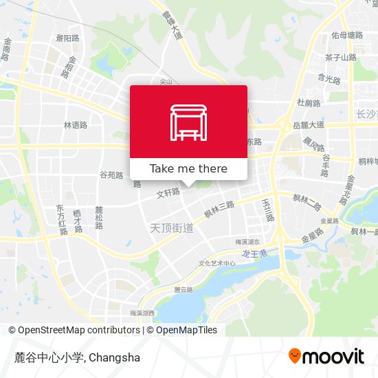 麓谷中心小学 map
