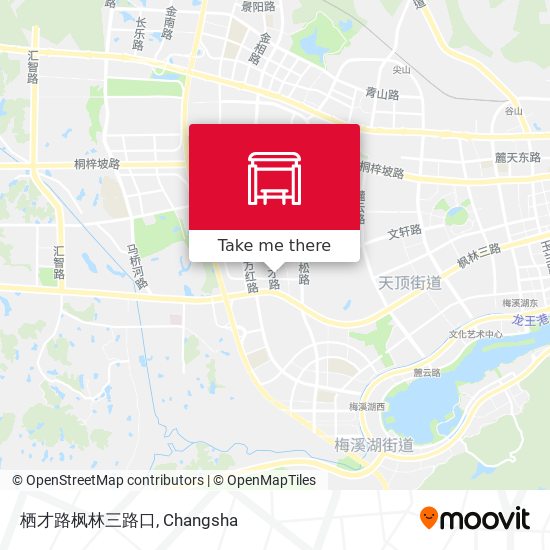 栖才路枫林三路口 map