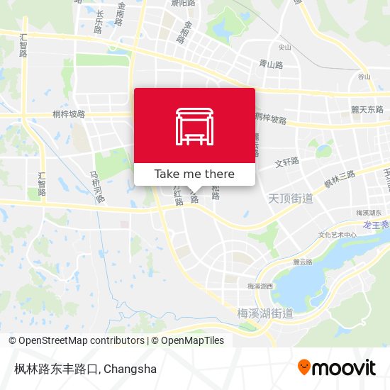 枫林路东丰路口 map