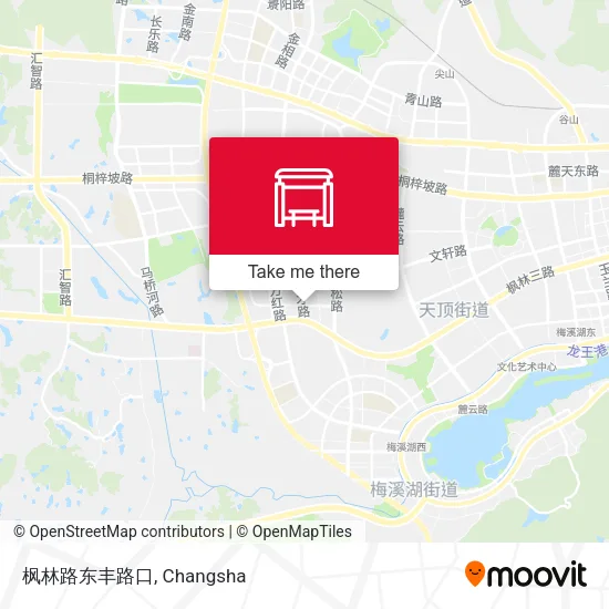 枫林路东丰路口 map