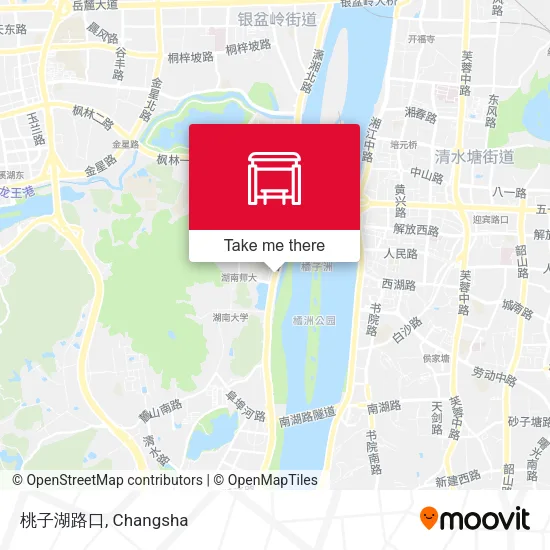 桃子湖路口 map