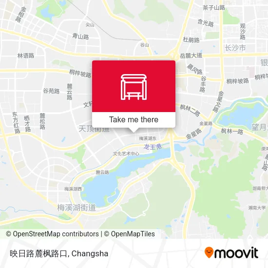 映日路麓枫路口 map