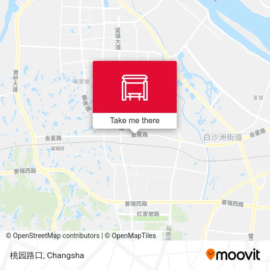 桃园路口 map