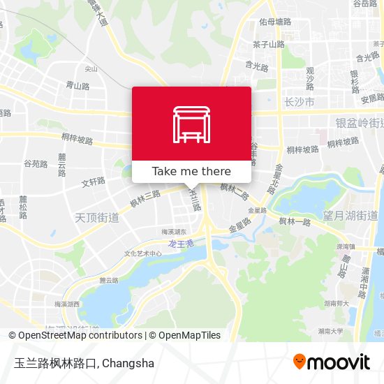 玉兰路枫林路口 map