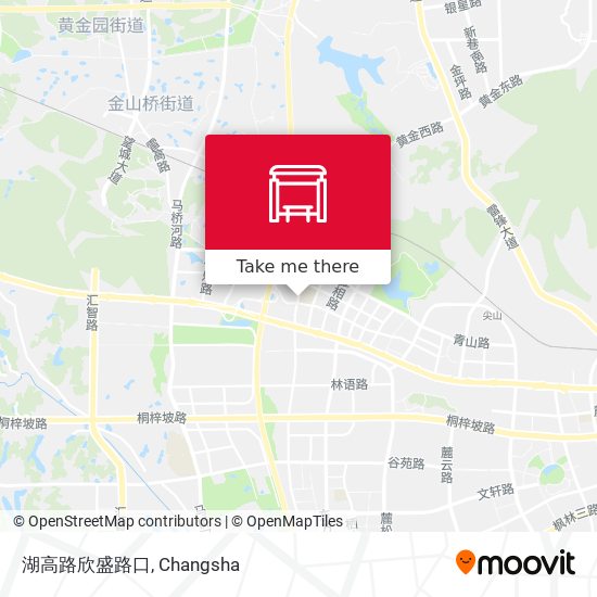 湖高路欣盛路口 map