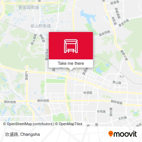 欣盛路 map