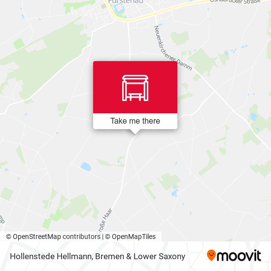Hollenstede Hellmann map