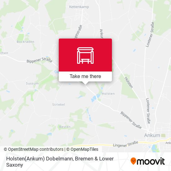 Holsten(Ankum) Dobelmann map