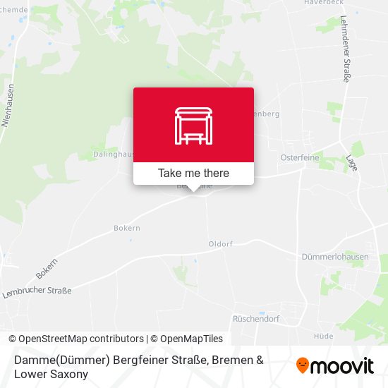 Damme(Dümmer) Bergfeiner Straße map