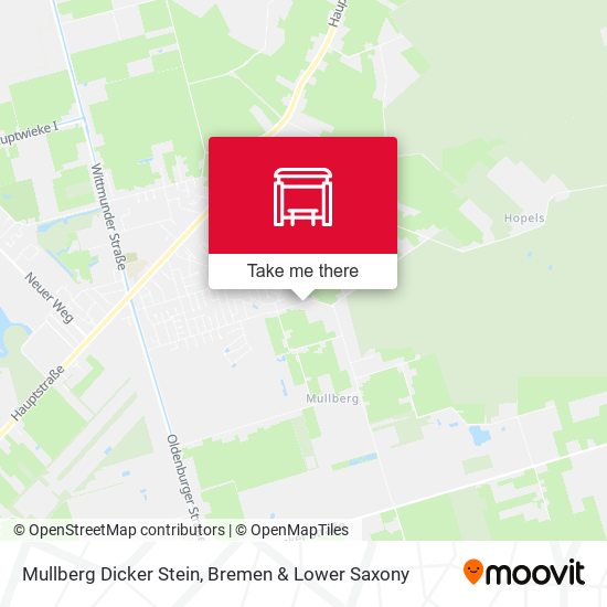 Mullberg Dicker Stein map