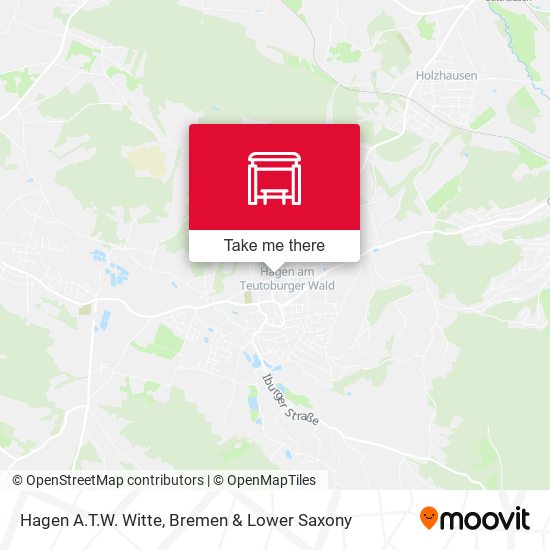 Hagen A.T.W. Witte map