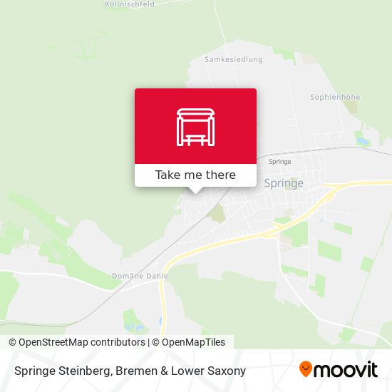 Springe Steinberg map