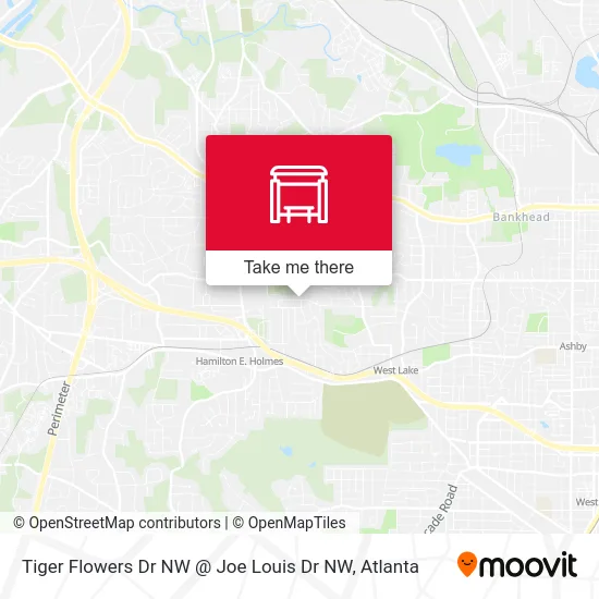 Tiger Flowers Dr NW @ Joe Louis Dr NW map