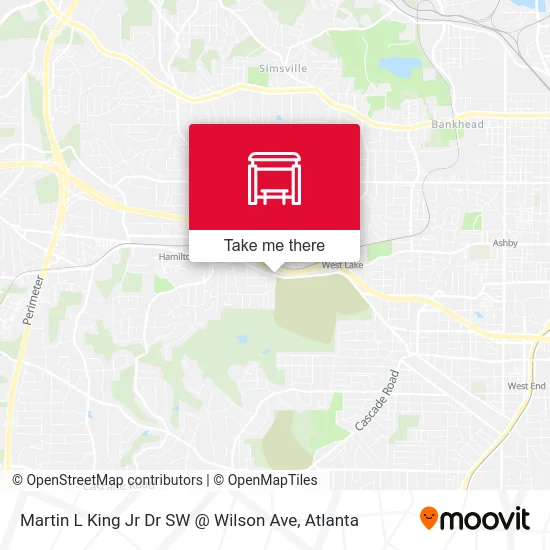 Martin L King Jr Dr SW @ Wilson Ave map