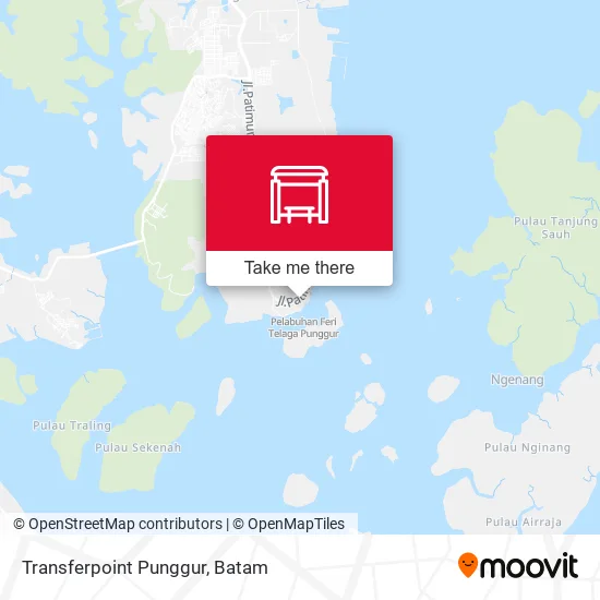 Transferpoint Punggur map