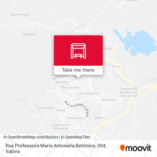 Rua Professora Maria Antonieta Betônico, 304 map