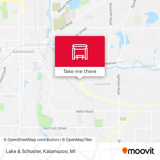Lake & Schuster map