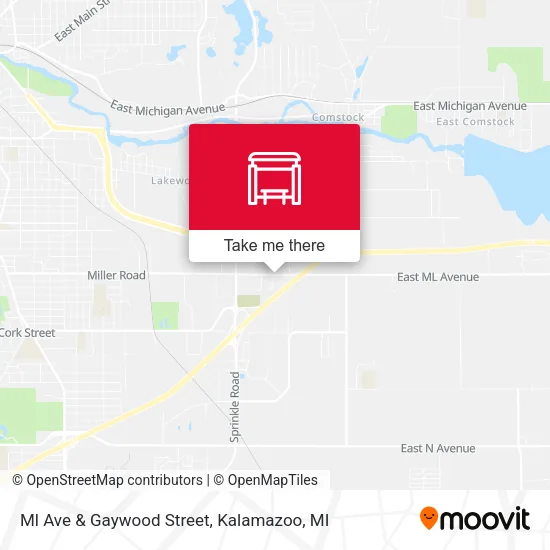 Ml Ave & Gaywood Street map