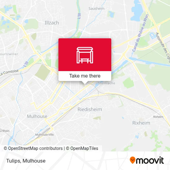 Tulipes map