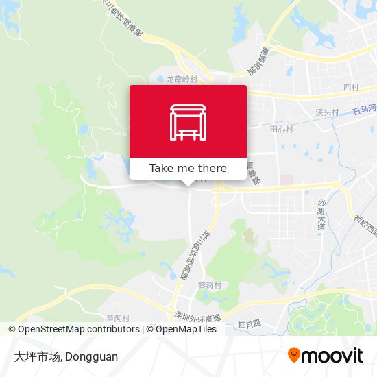 大坪市场 map