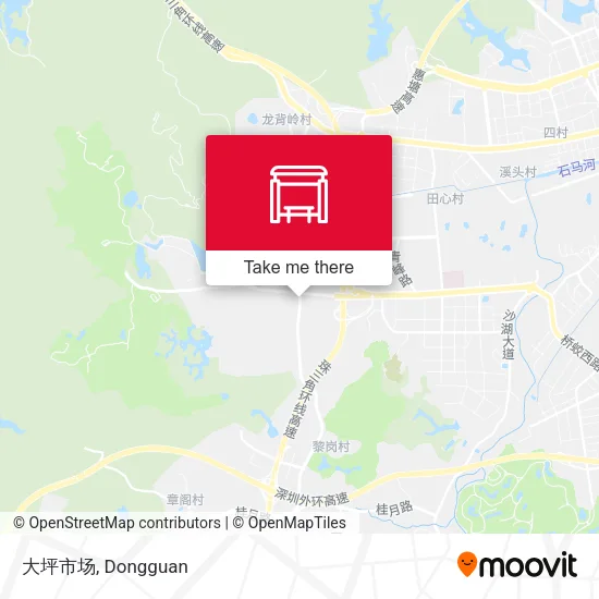 大坪市场 map