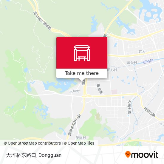 大坪桥东路口 map