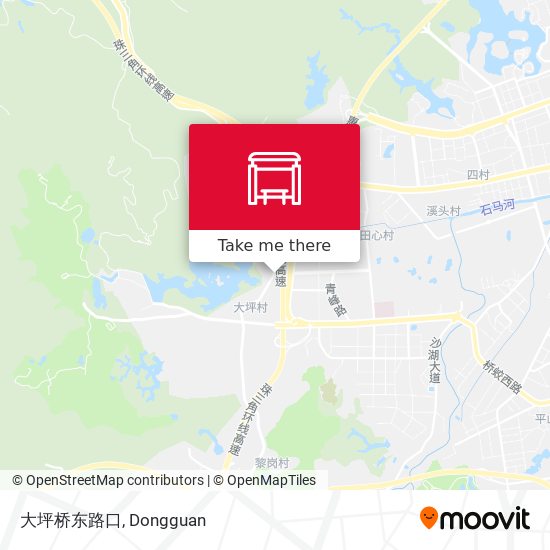 大坪桥东路口 map