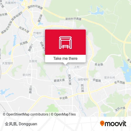 金凤凰 map