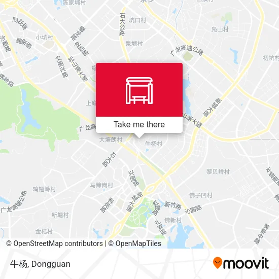 牛杨 map