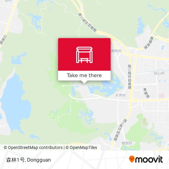 森林1号 map