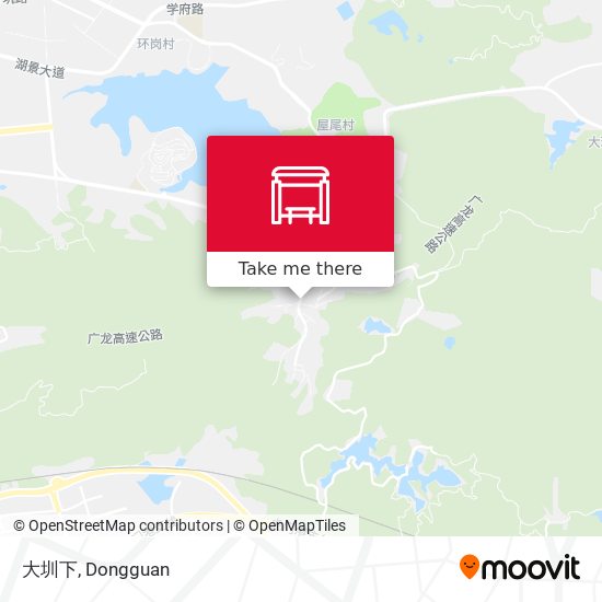 大圳下 map