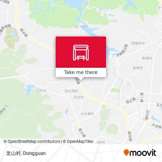 龙山村 map